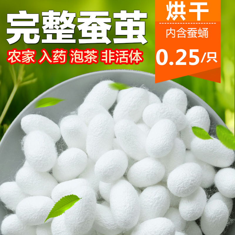 天然烘干完整带蚕蛹桑蚕茧抽丝手工彩绘展示蚕茧壳桑蚕丝团扇蚕茧 - 图2