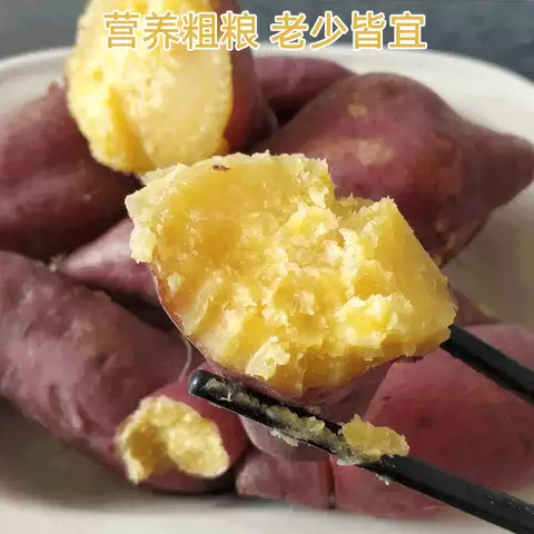 临潼板栗红薯新鲜蔬菜正宗陕西沙地瓜番现挖薯栗子面红皮白黄心甜 图片 2