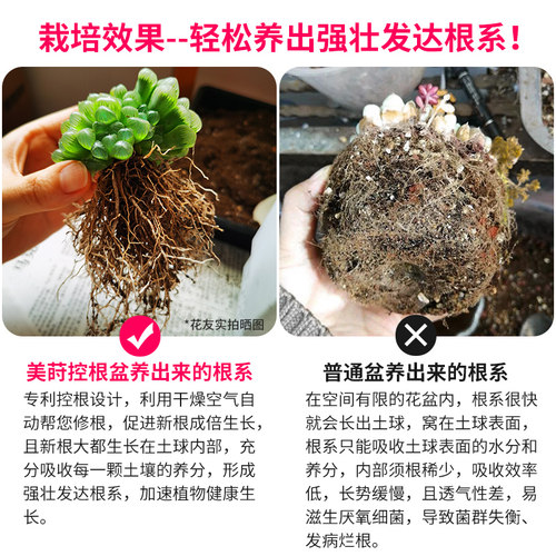 美莳控根花盆多肉植物花盆肉肉塑料花盆托盘组合创意树脂育苗花盆 - 图2