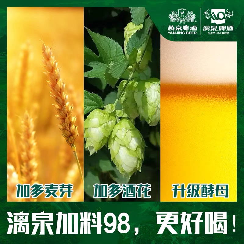 漓泉啤酒1998大度946ml*12瓶整箱超大瓶装广西桂林特产特价-图2