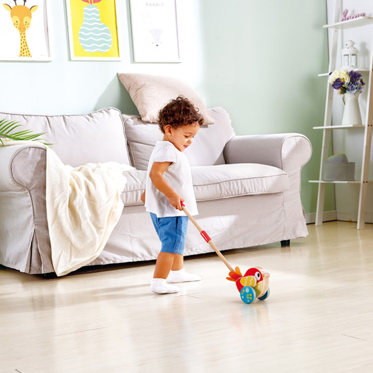 Hape Garden Push Cart Toy