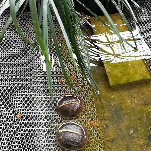 爬宠垫材乌龟饲养箱防滑垫守宫盒陆龟爬虫宠物箱地垫爬行隔水地毯 - 图1