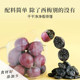 Sunshine West Plum Preserved Fruit Snacks