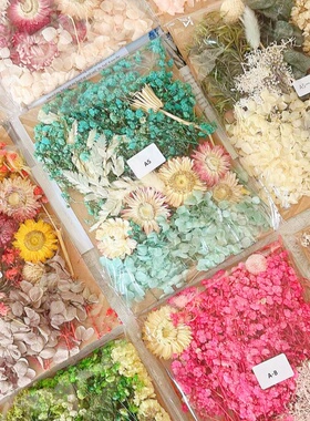永生花diy精致款干花材料相框团扇浮游瓶花材幼儿园武汉真花装饰