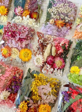 混装干花DIY手工蜡烛石膏真花风干永生花多色活动材料包相框团建