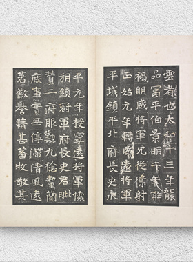 魏富平伯于万年志 墨拓残本 书法字帖 历史文献 纸本绢布 微喷