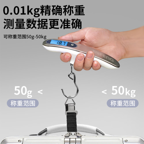 精准手提电子秤行李称便携式高精度快递称重器弹簧秤小型随身携带 - 图3