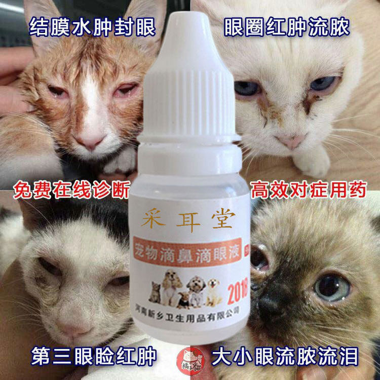 氯霉素滴眼液宠物眼药水犬猫咪眼睛红猫鼻只感染角膜结膜类10ml瓶