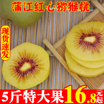 Sichuan Red Heart Exotic Fruits Fresh Fruit Zhengzong Pujiang Red Heart Chic Exotic Fruit Great Fruit When Season Mass Mud Monkey Peach Whole Box