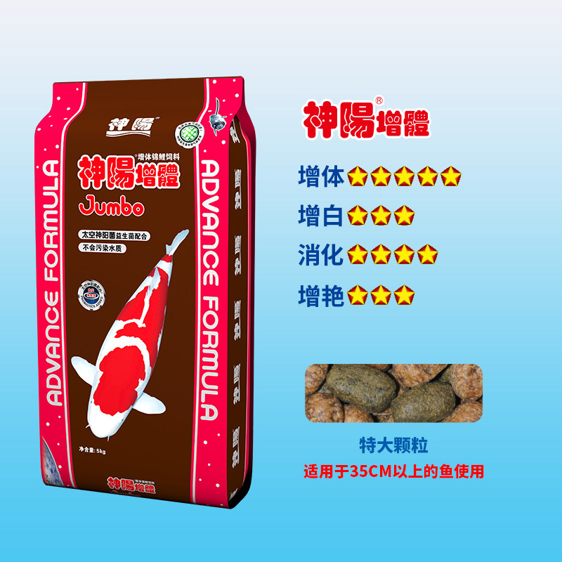 神阳锦鲤上浮金鱼育成增色肥螺旋藻 吴巍宠物用品观赏鱼饲料