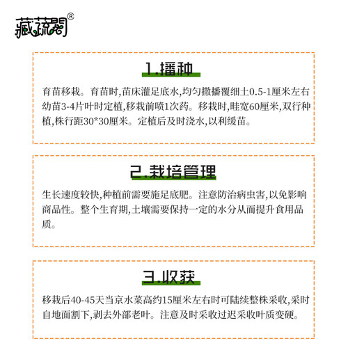 阳台京水菜种子白梗千筋水晶青菜野菜蔬菜种籽四季家庭阳台园艺 - 图2