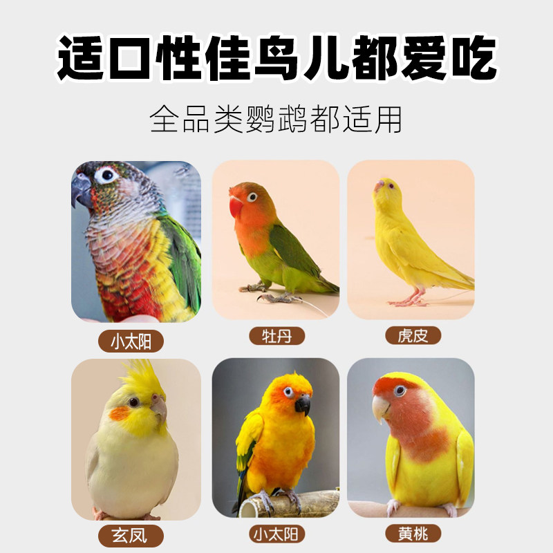 虎皮玄凤鹦鹉专用零食磨牙棒谷物啃咬玩具用品训练奖励滋养鸟食棒,淘宝优惠券,粉丝福利购,淘宝优惠卷