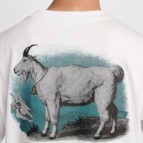 24夏新款Nike耐克短袖男ACG GOAT山羊印花速干上衣运动T恤FV3493 - 图1