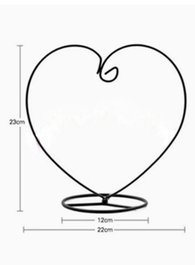 新款半圆装饰微景观吊瓶铁挂架