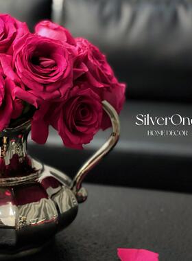 SilverOne天鹅壶电镀陶瓷花瓶
