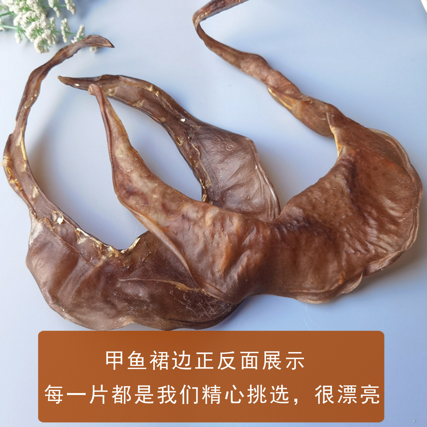 天然甲鱼水鱼团鱼裙边唇边干货煲汤焖煮炒营养好味道100-15头靓货,淘宝优惠券,粉丝福利购,淘宝优惠卷