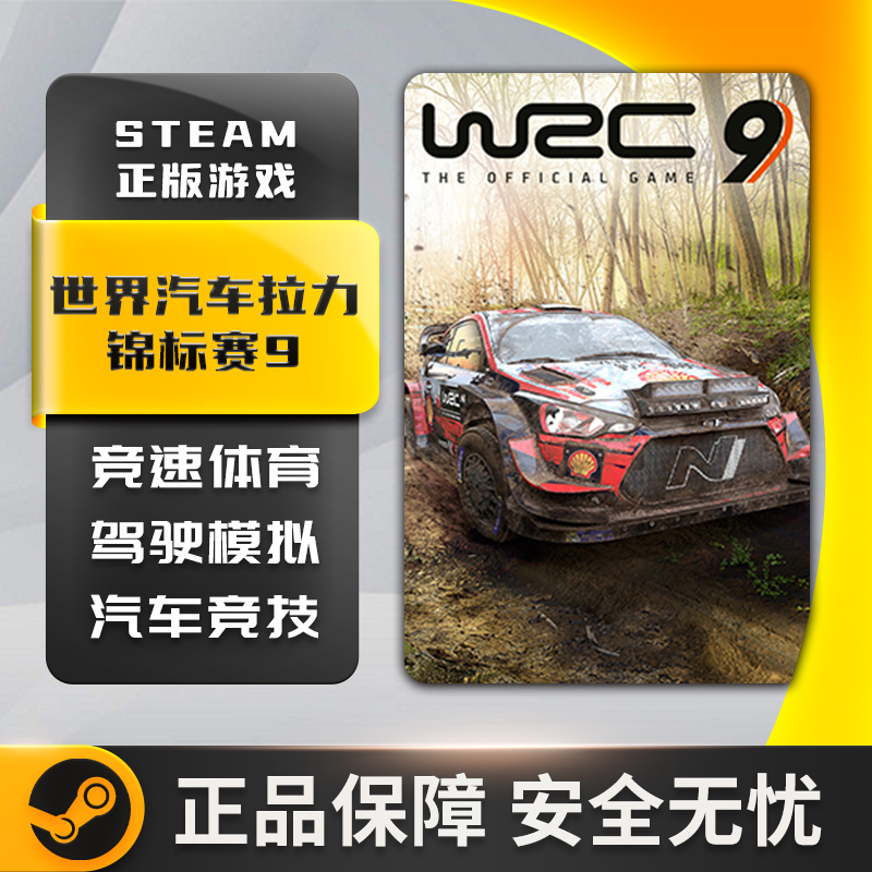 世界汽车拉力锦标赛9 WRC 9 FIA World STEAM正版PC中文 国区key - 图2