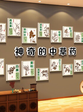 中草药标本展示墙面装饰挂画养生馆氛围布置药食同源文化形象背景