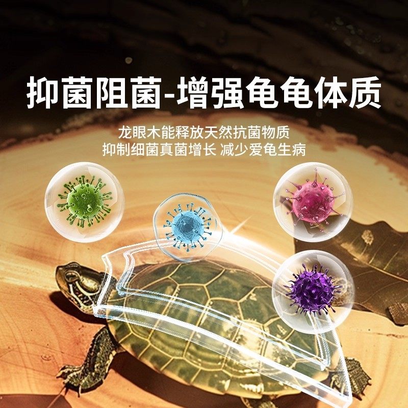 原生态天然龙眼木乌龟晒背台造景沉木悬浮爬坡立体防腐皮腐甲沉木,淘宝优惠券,粉丝福利购,淘宝优惠卷