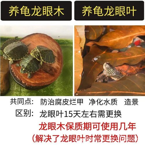 龟缸造景龙眼木爬台水草乌龟晒台爬坡龟龟用品高水位浮岛龟台晒背 - 图0