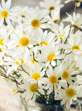 水滴雏菊仿真花花艺欧式餐桌花瓶