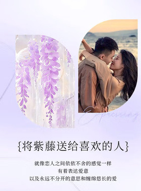 DESIWCEN德斯琛银尊S999纯银蝴蝶