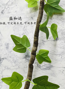 墙面装饰点缀立体绿色植物爬山虎