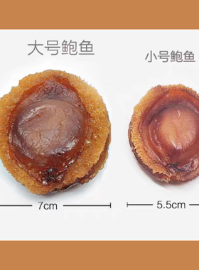 仿真鲍鱼模型鲍鱼摆件假鲍鱼道具干鲍鱼样品硅胶酒店影视拍摄摆台