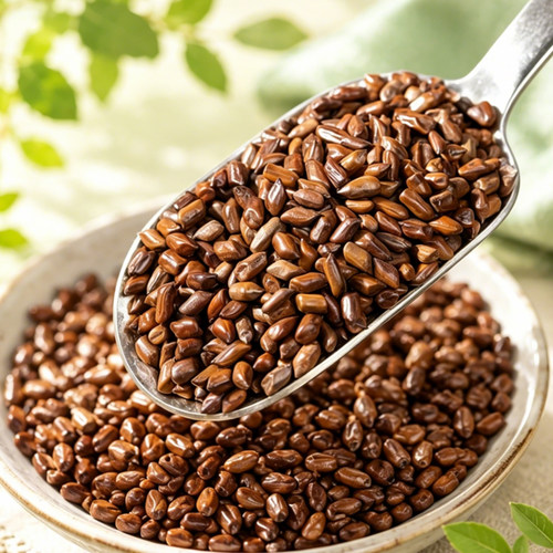 买1送1决明子茶泡茶炒熟决明子中药材散装清肝菊花茶枸杞子 - 图1