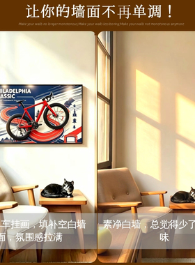 适用乐高11380美式费城赛事相框