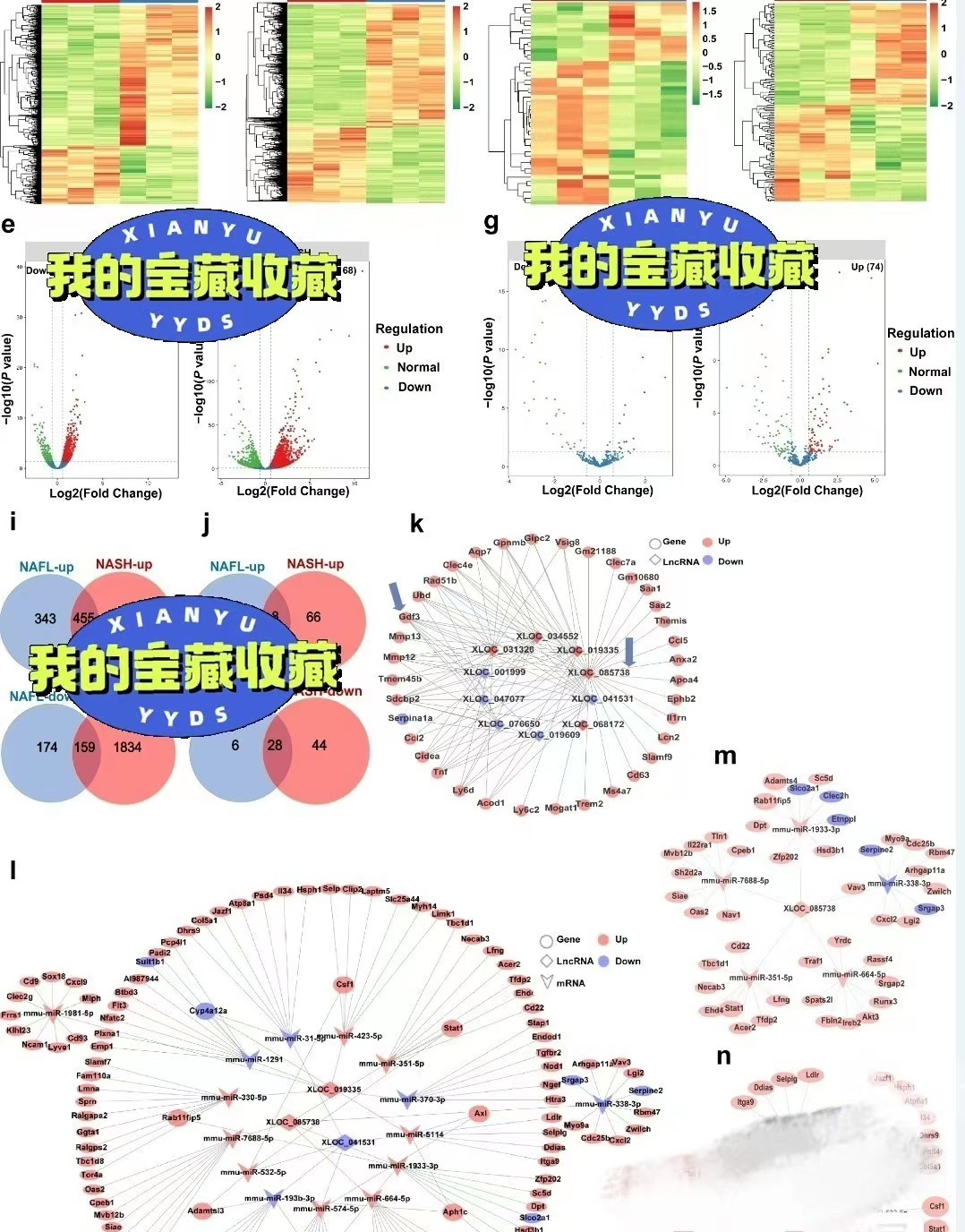 R语言代码脚本整理总结转录组学蛋白组学 GEO数据挖掘 TCGA数据-图0