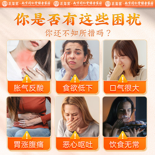 调理养胃茶肠胃女士口气重除口臭祛猴头菇湿健脾养胃去体内湿气重 - 图0