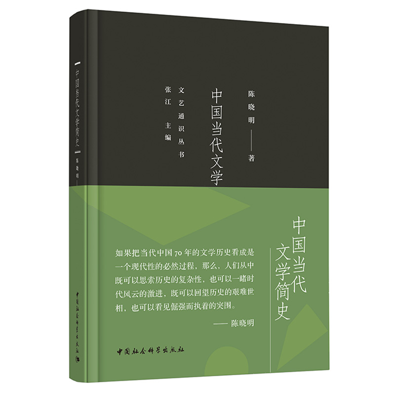 正版图书 中国当代文学简史 陈晓明 著 文艺通识丛书 7月 中国社会科学出版社 社会科学SK - 图0