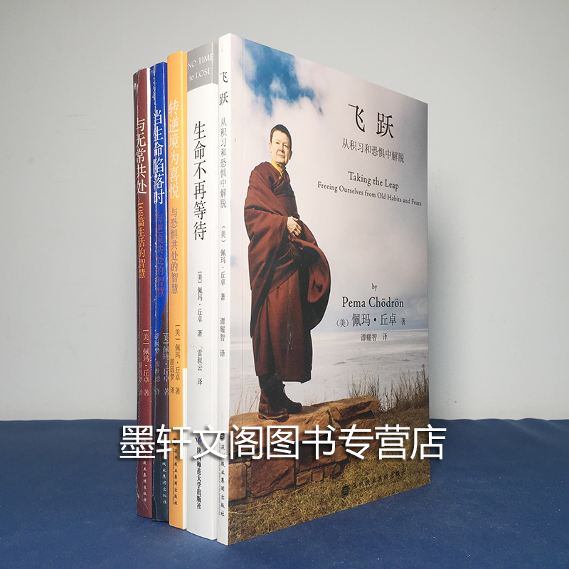 现货正版 佩玛丘卓作品套装5册 生命不再等待+飞跃+当生命陷落时+与无常共处+转逆境为喜悦(与恐惧共处的智慧)北京立品 - 图1