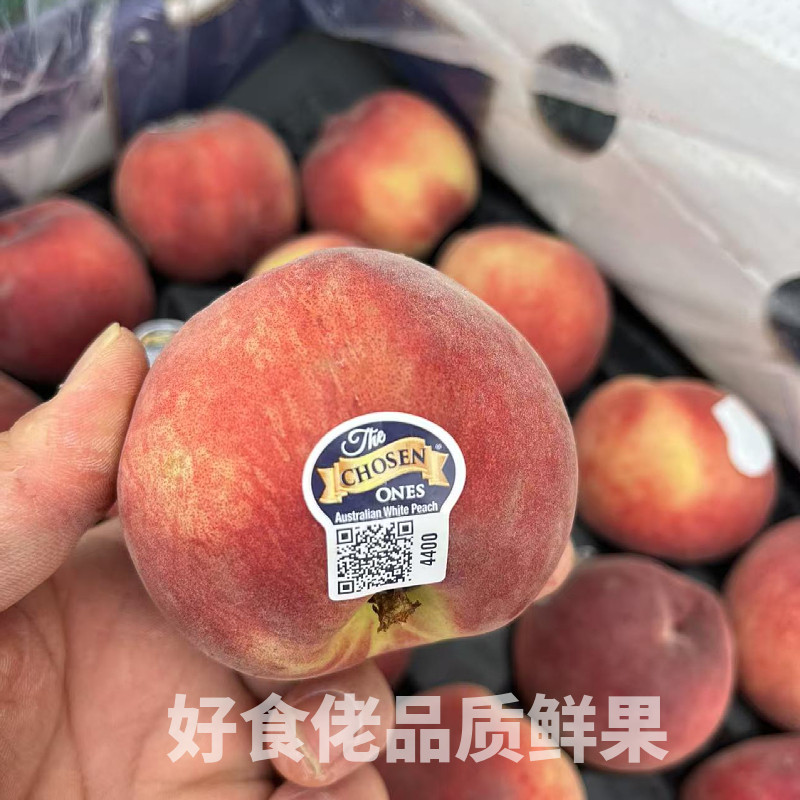 现货空运澳洲进口水蜜桃毛桃新鲜水果桃子公主桃时令新鲜水果桃子,淘宝优惠券,粉丝福利购,淘宝优惠卷