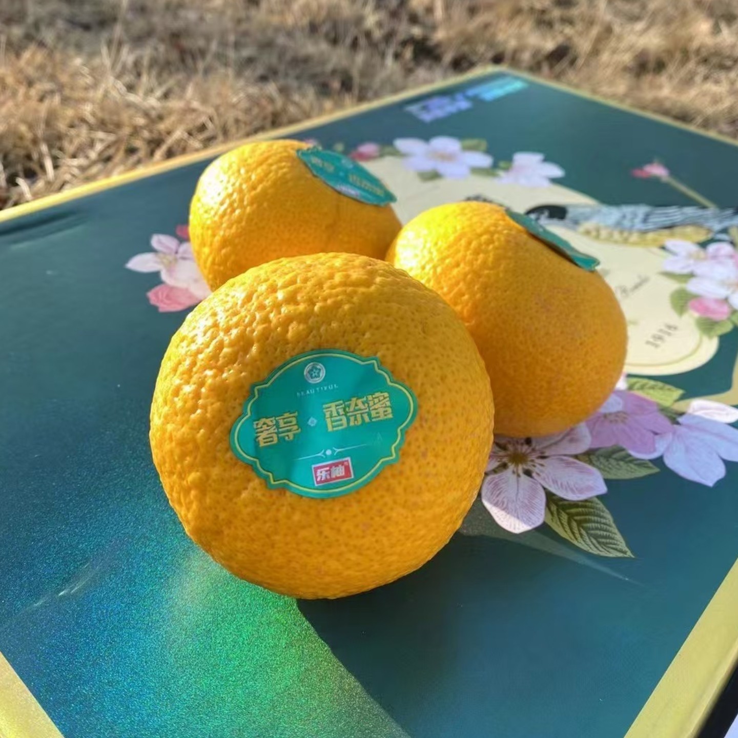 乐柚甜桔柚13-15颗礼盒奢享香奈蜜新鲜水果甜甜柚橙子纯甜顺丰,淘宝优惠券,粉丝福利购,淘宝优惠卷