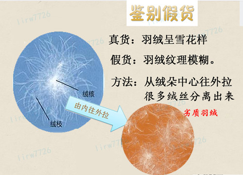 95 白鹅绒 散装羽绒 吊吊绒 大朵绒 国标 羽绒服 被 原料 填充物 - 图3