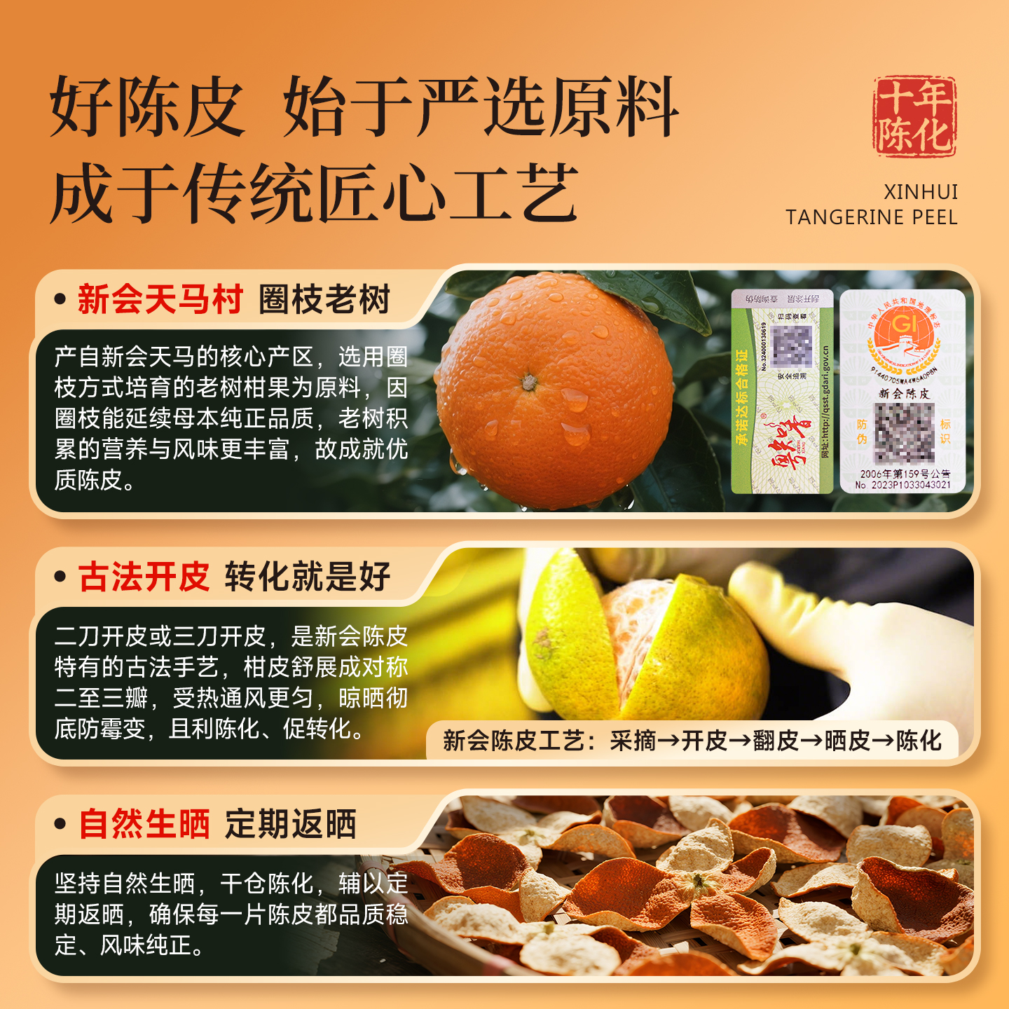 天马陈皮正宗新会陈皮冬后大红皮老树圈枝一等品果香糯甜五虎茶叶 - 图0