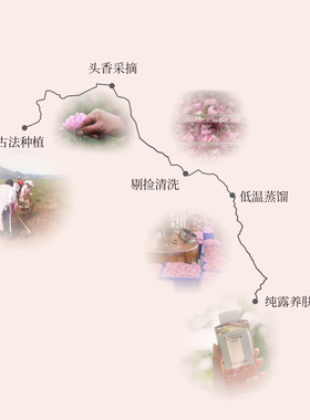 花兰槿大马士革玫瑰纯露保湿