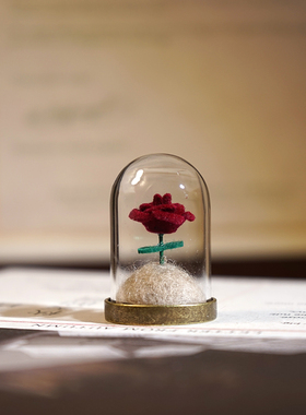 《小王子的玫瑰花》玻璃罩永生花