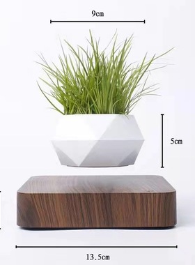 桌面磁悬浮盆栽植物盆景