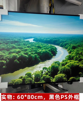 治愈系玄关挂画绿色森林风景画五行喜水木卧室客厅装饰画流水生财