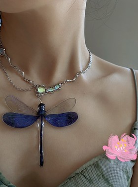 2024新款原创设计小众蜻蜓标本手作项链挂件轻奢小众锁骨链女生