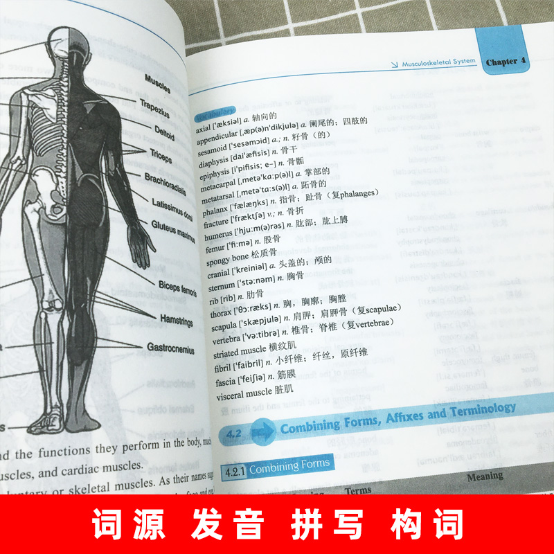 正版包邮 医学英语词汇教程 高等院校新概念医学英语系列教材 王亚娜,马雁主编 医学词汇英语术语医学专业术语书籍 世界图书出版 - 图2