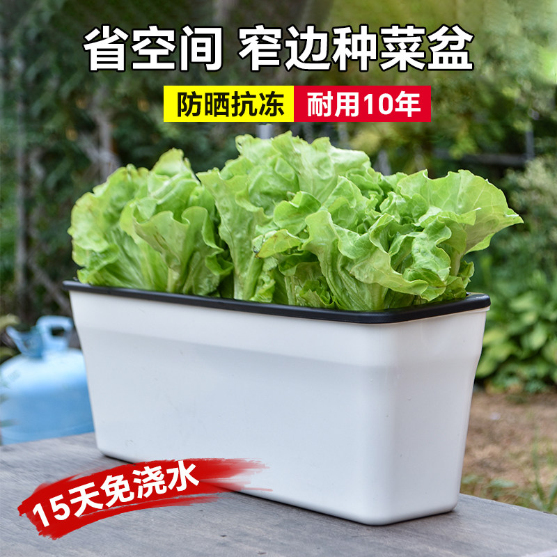 窄盆草莓专用盆阳台种菜神器家用透明种植盆长方形懒人自吸水盆,淘宝优惠券,粉丝福利购,淘宝优惠卷