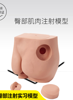 模型臀部注射模型政河可反复使用