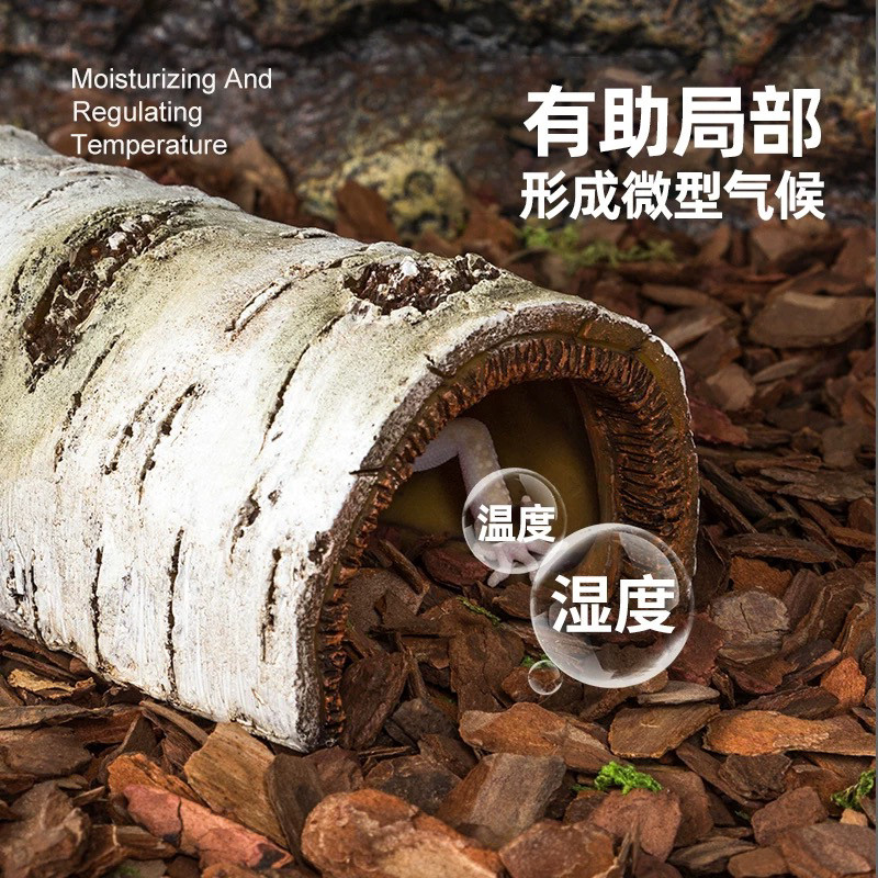 REPTI ZOO稀罕掌心适合小孩子养的宠物网红小学生懒人躲避,淘宝优惠券,粉丝福利购,淘宝优惠卷