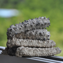 Australias yellow jade ginseng wild sea cucumbers to import dry cargo sea products to eat aquatic sugar-free sea cucumbers