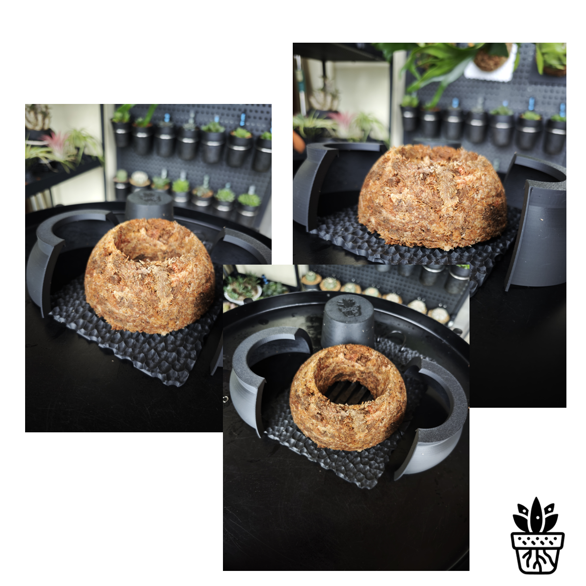 鹿角蕨水苔球上板模具上板神器毛毛虫挂板模具 附生植物 南美兰,淘宝优惠券,粉丝福利购,淘宝优惠卷