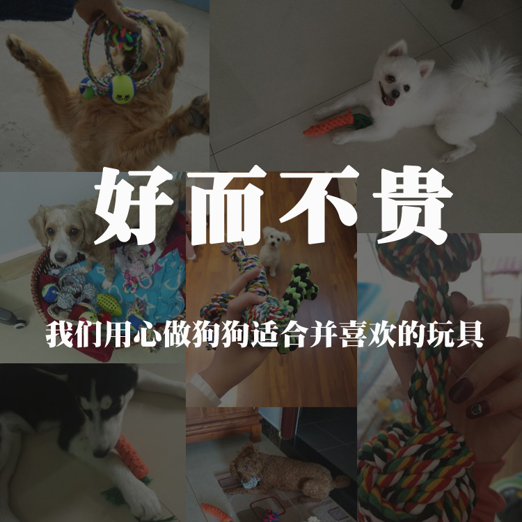 狗狗玩具耐咬幼犬磨牙训练球泰迪金毛宠物玩具大小型犬发声玩具球-图3